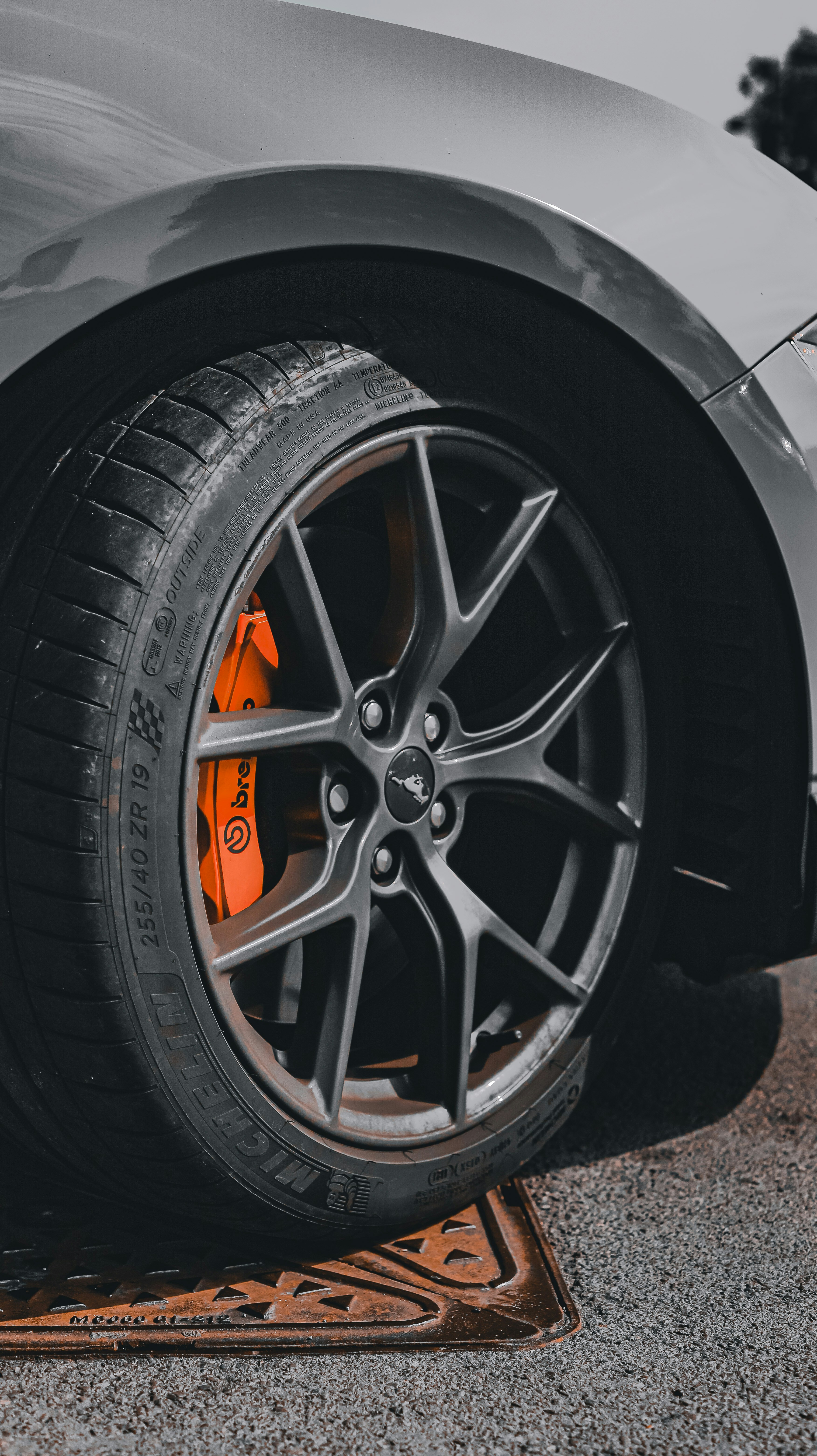 Photo by liam_gamble