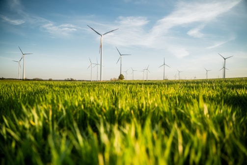 A field of vibrant green grass stretches out under a blue sky with scattered clouds. Several wind turbines are evenly spaced across the landscape, their large blades poised to capture the wind's energy. The horizon is flat, indicating an open and expansive area.