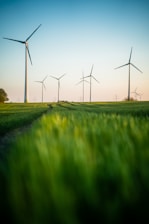 a row of wind turbines