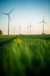 a row of wind turbines