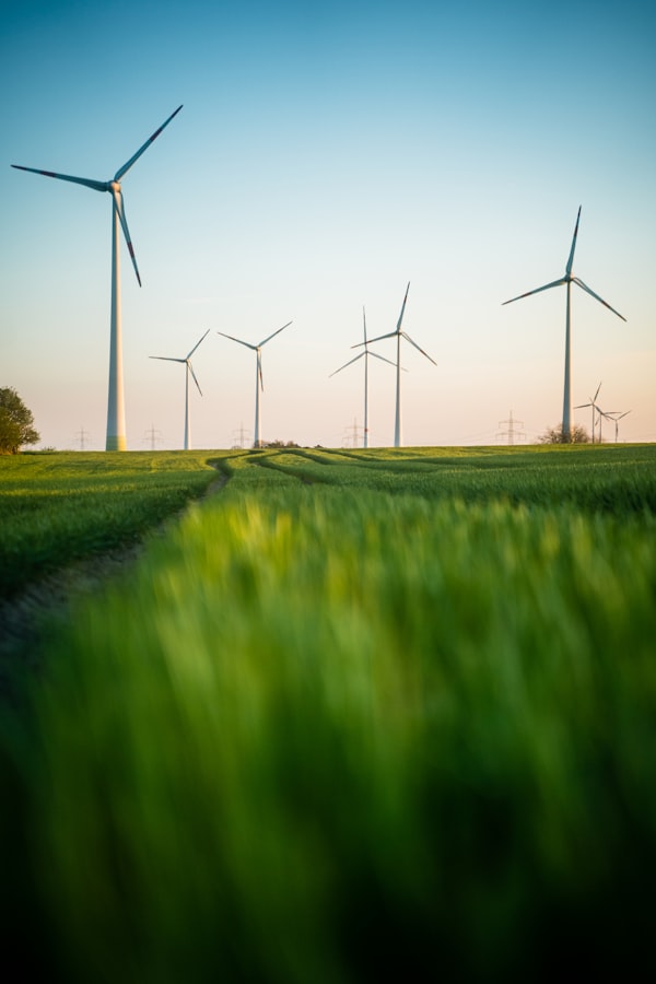 Windräder in einer geordneten Reihe