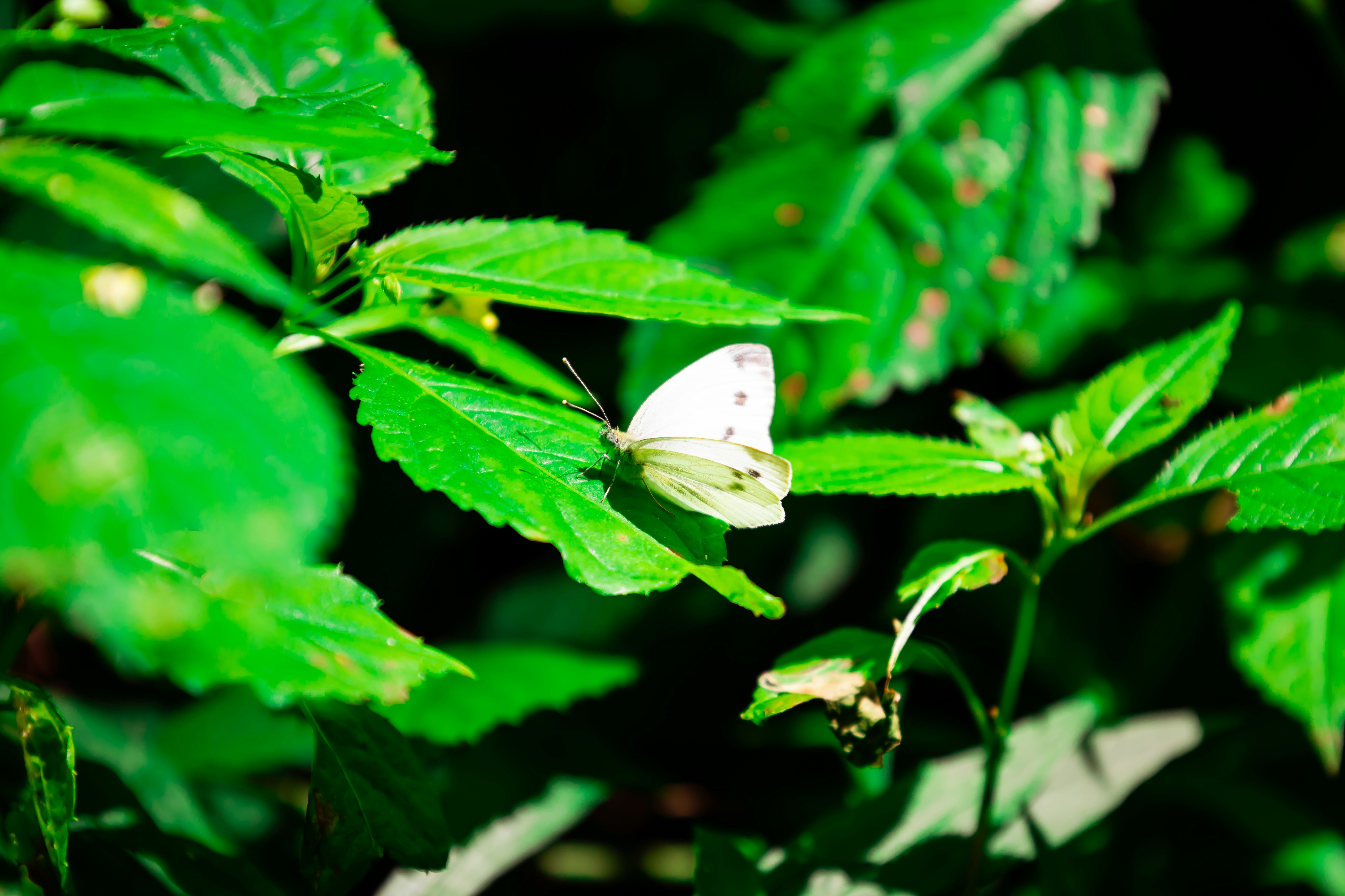 Photo by wheelbite_media