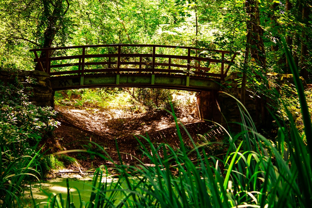 eine Holzbrücke über einen Bach in einem Wald