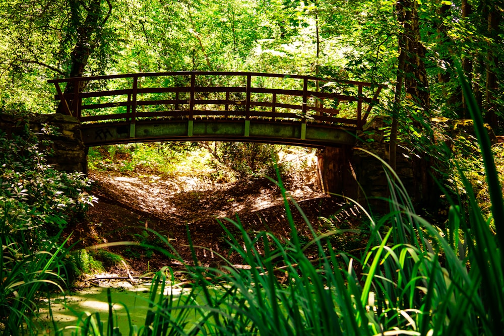 a wooden bridge over a stream in a forest