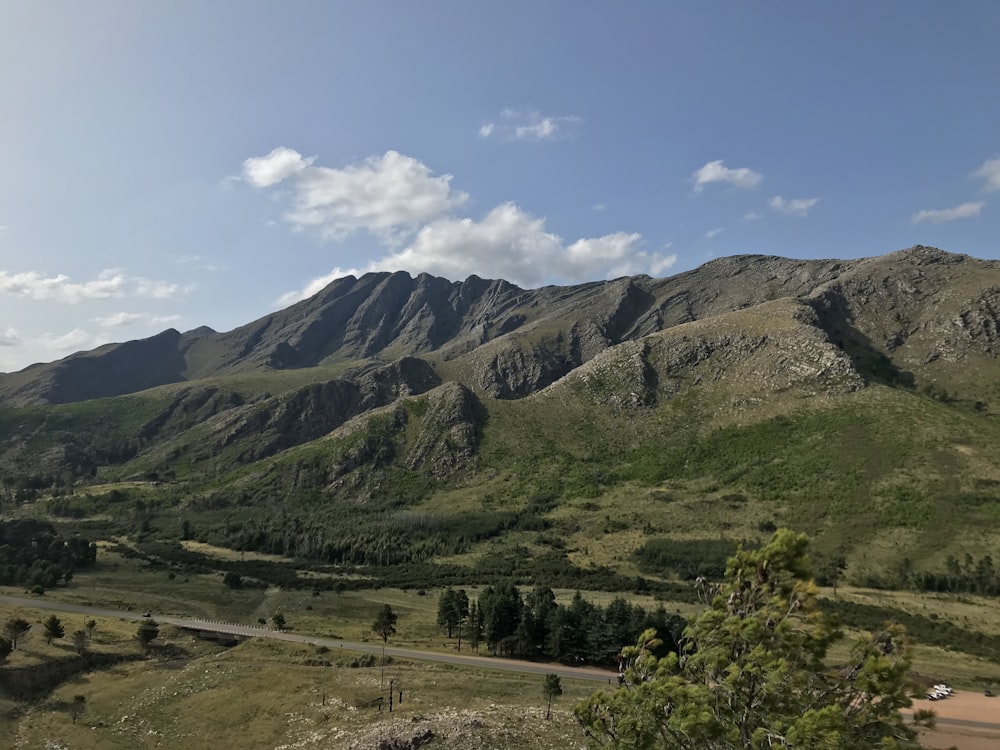 a landscape with trees and mountains