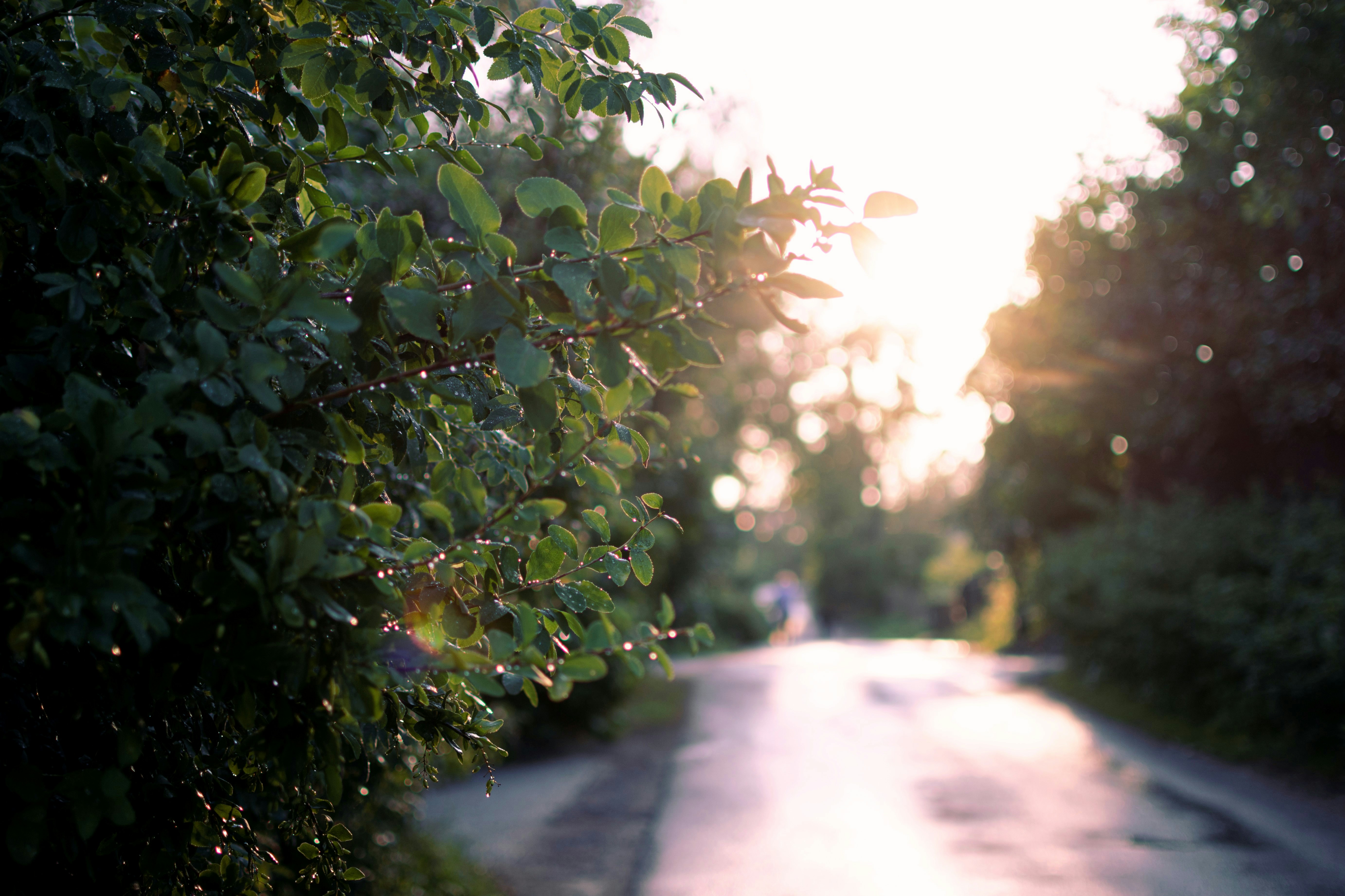 Photo by vadutskevich