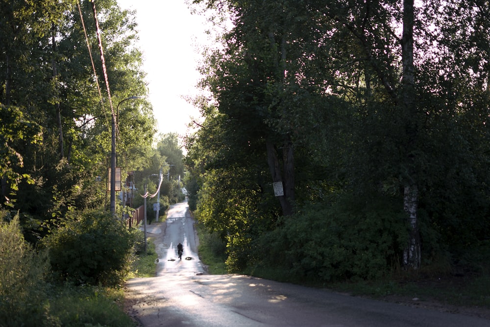a person walking on a path surrounded by trees