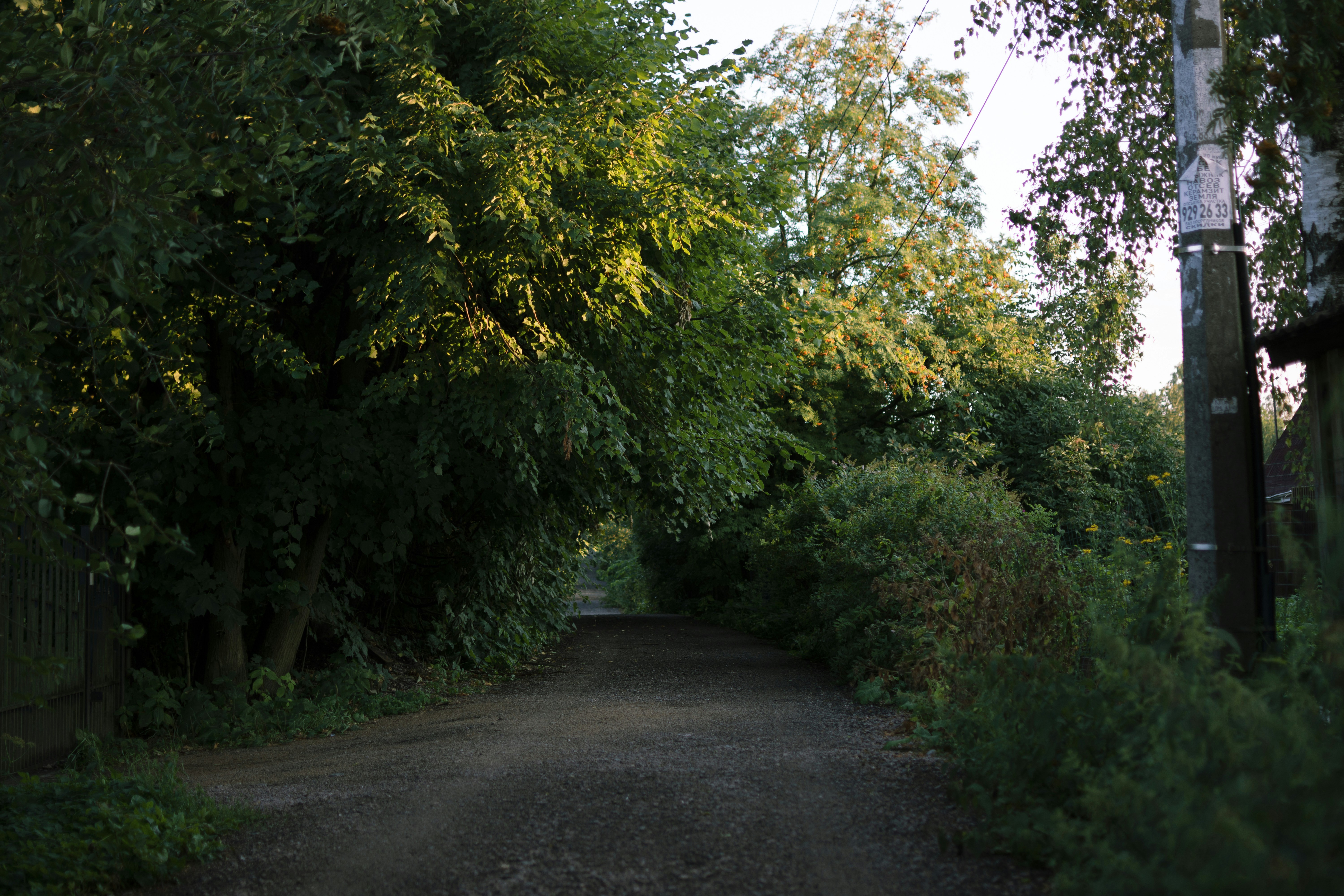 Photo by vadutskevich