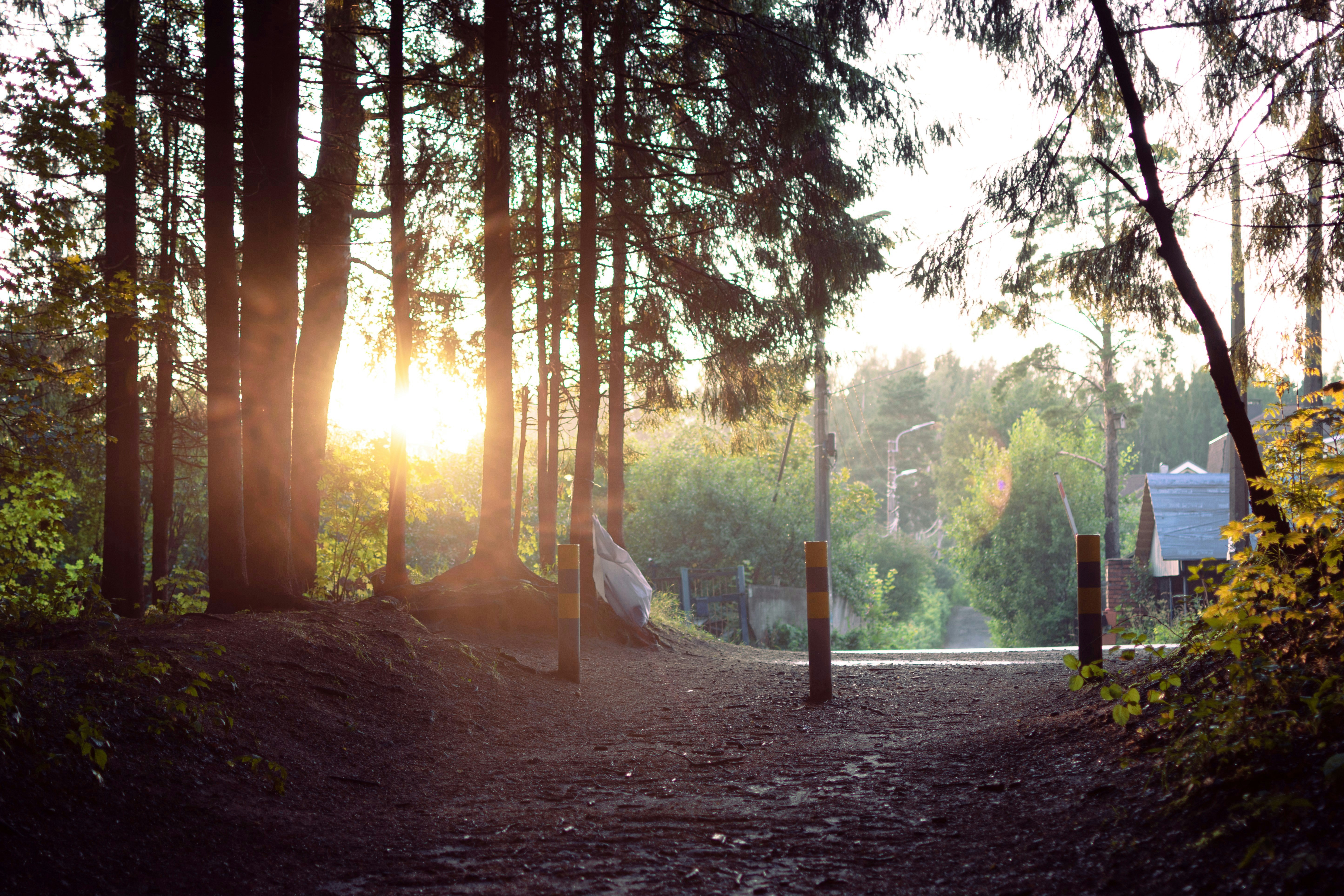 Photo by vadutskevich