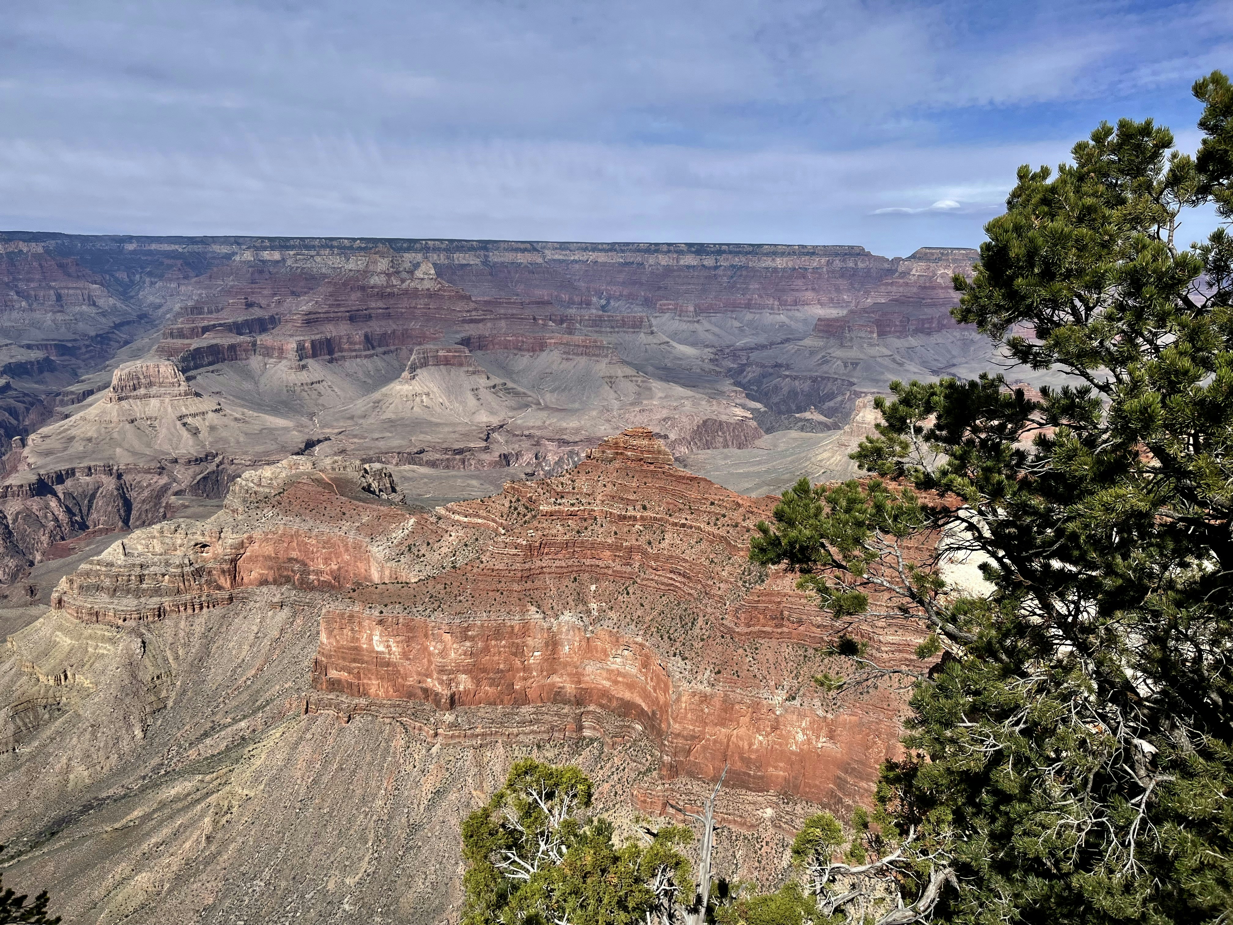 Photo by aesthetic_butterflies