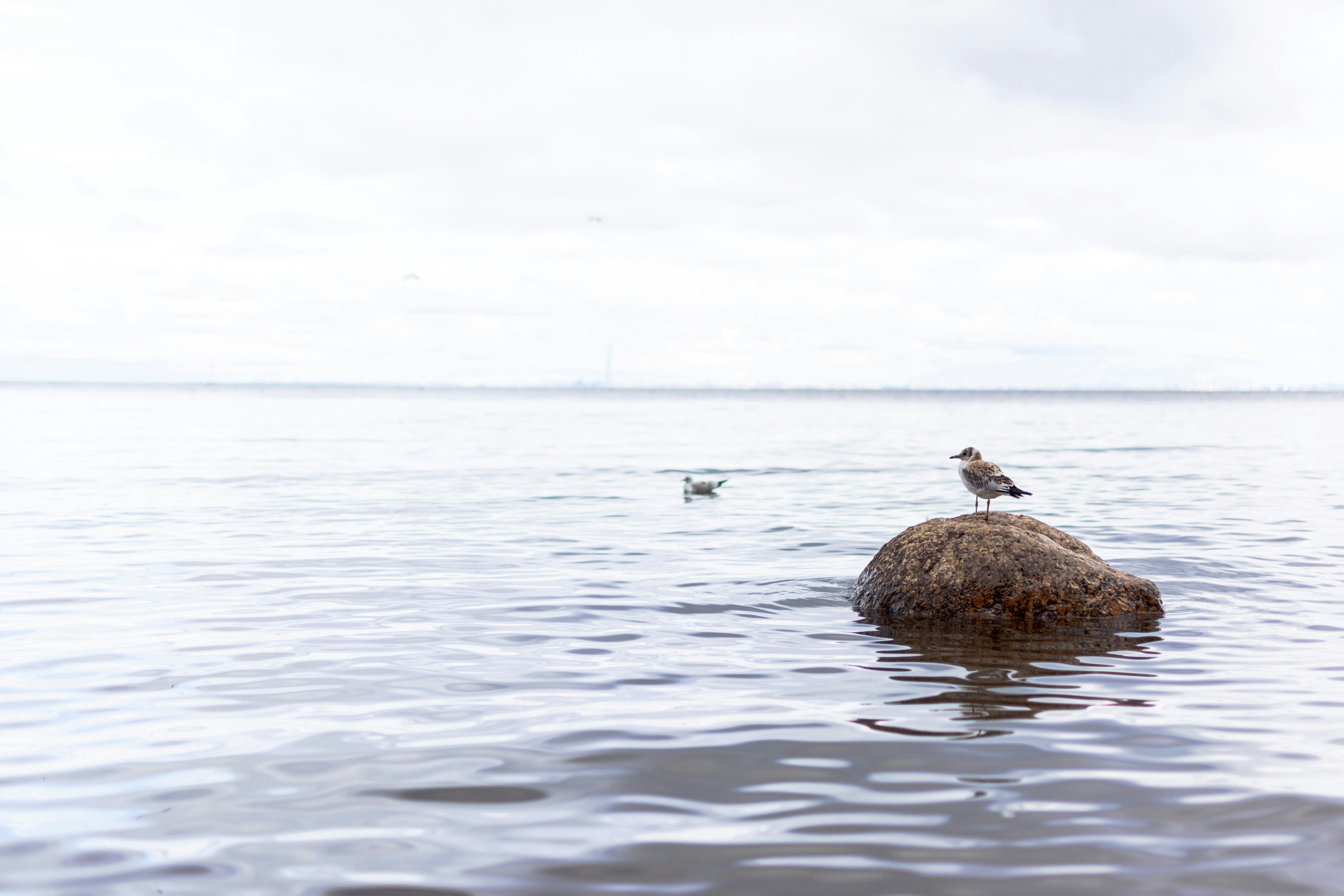 Photo by vadutskevich