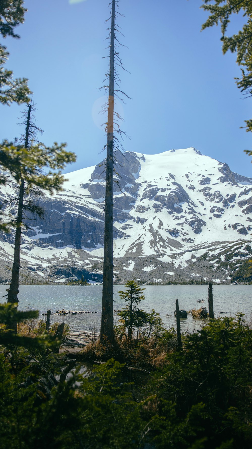 a lake with trees and mountains in the background