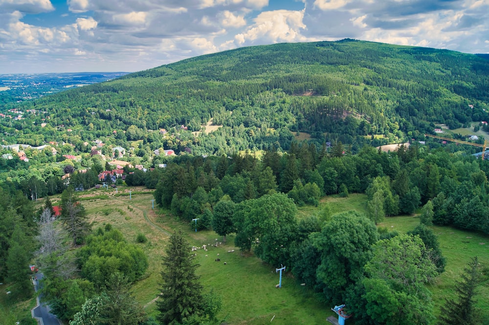 a landscape with trees and houses