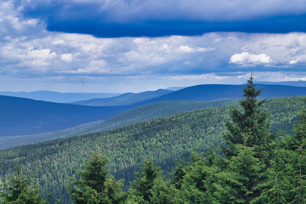 a landscape with trees and hills