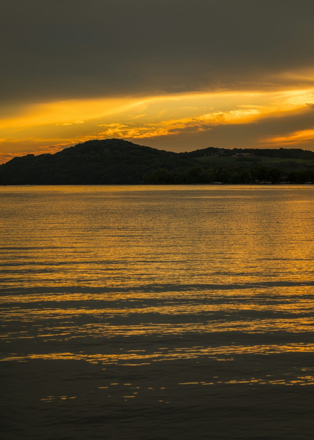 a body of water with trees in the background