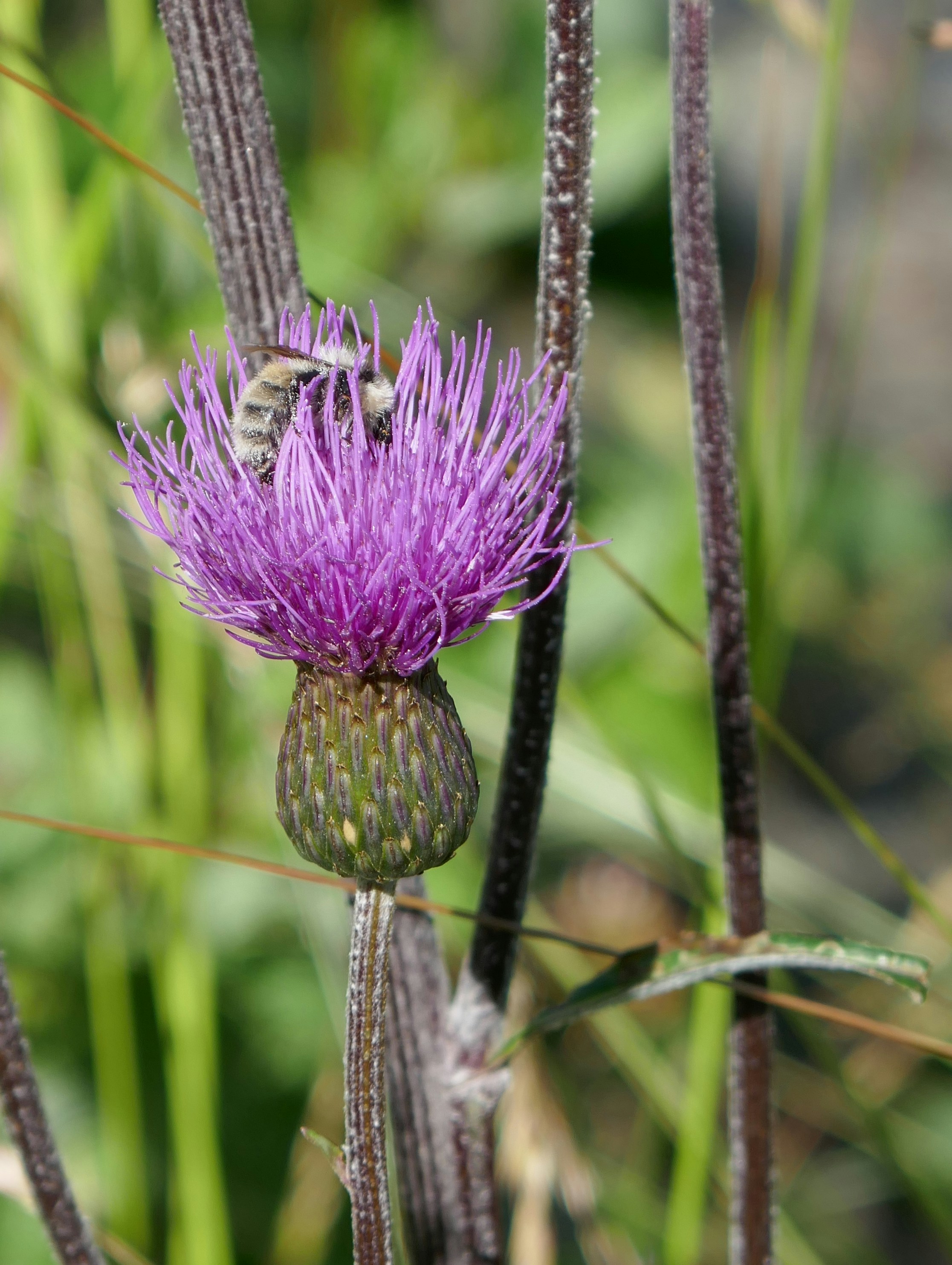 Photo by monikamanenti