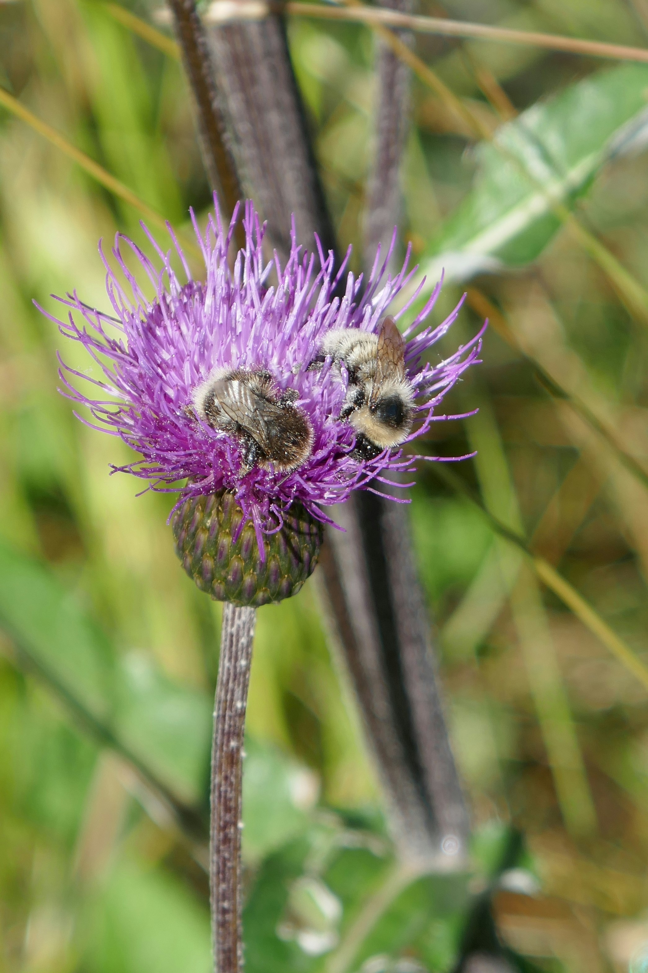 Photo by monikamanenti