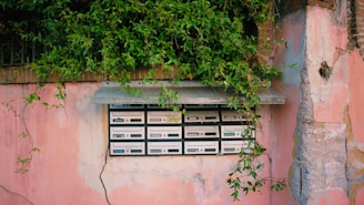 A series of vintage-style mailboxes are embedded in a weathered pink wall. Green ivy cascades over the top of the mailboxes, partially obscuring them. The wall shows signs of age and repair, adding a rustic charm to the scene.