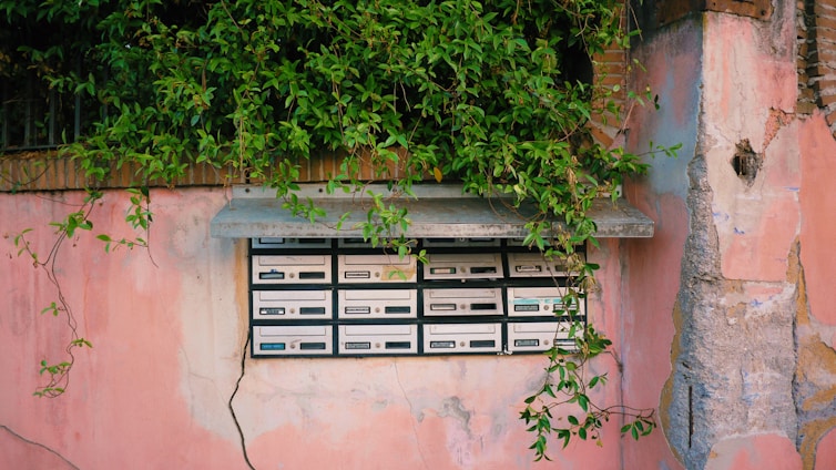 A series of vintage-style mailboxes are embedded in a weathered pink wall. Green ivy cascades over the top of the mailboxes, partially obscuring them. The wall shows signs of age and repair, adding a rustic charm to the scene.