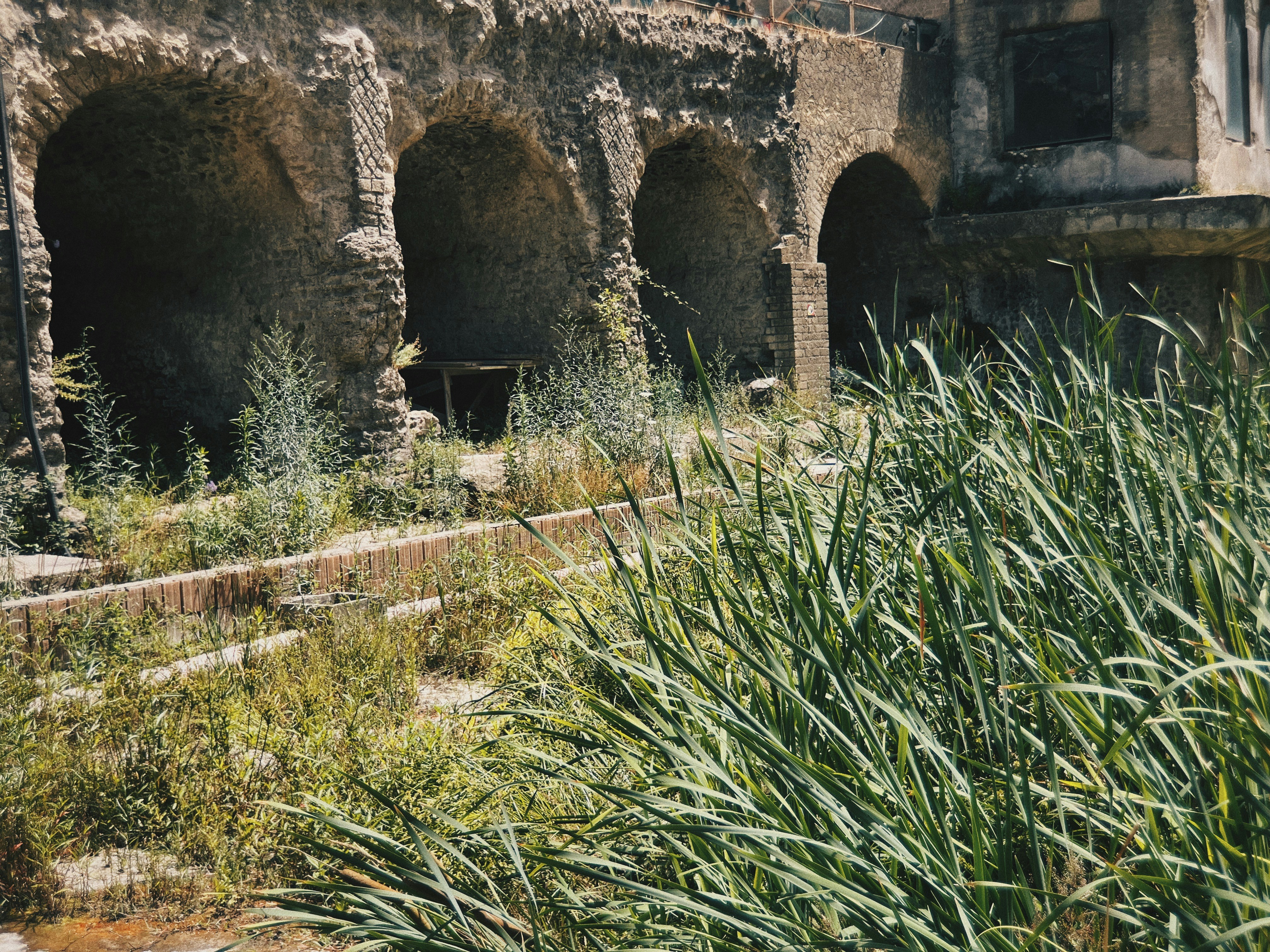 The Hohokam: Masters of the Desert (image credits: unsplash)