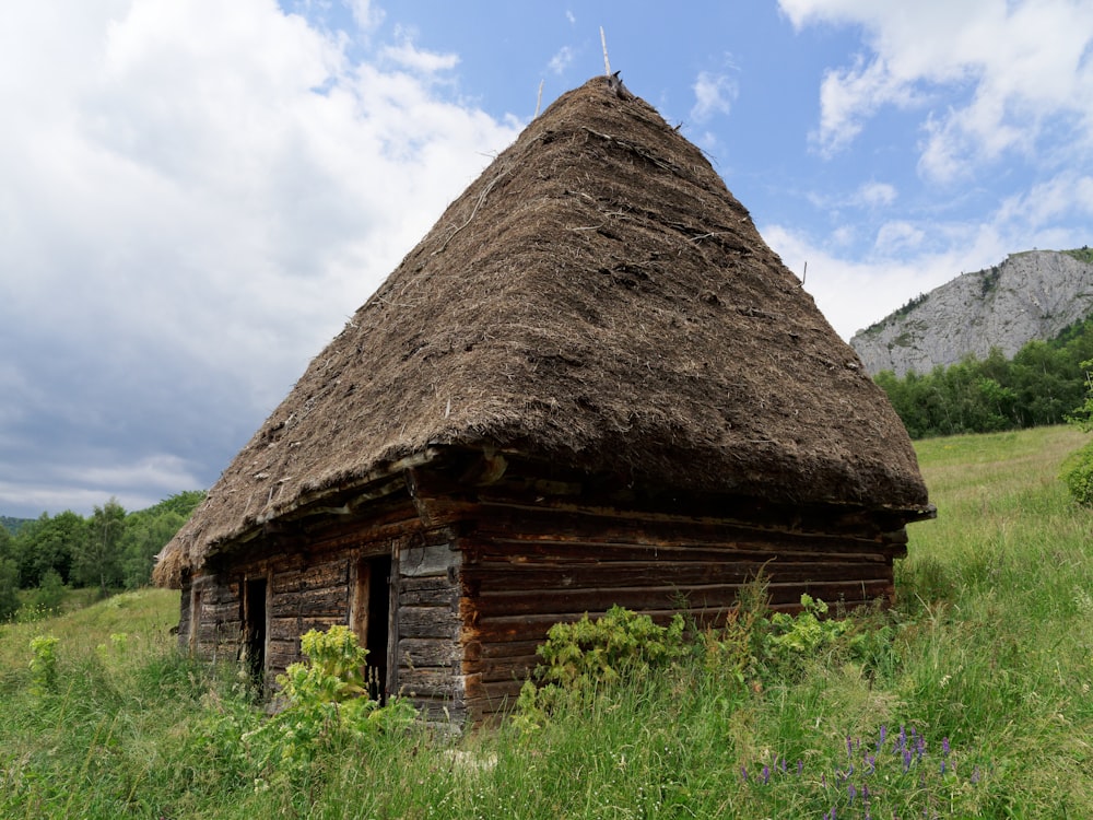 a house made of grass