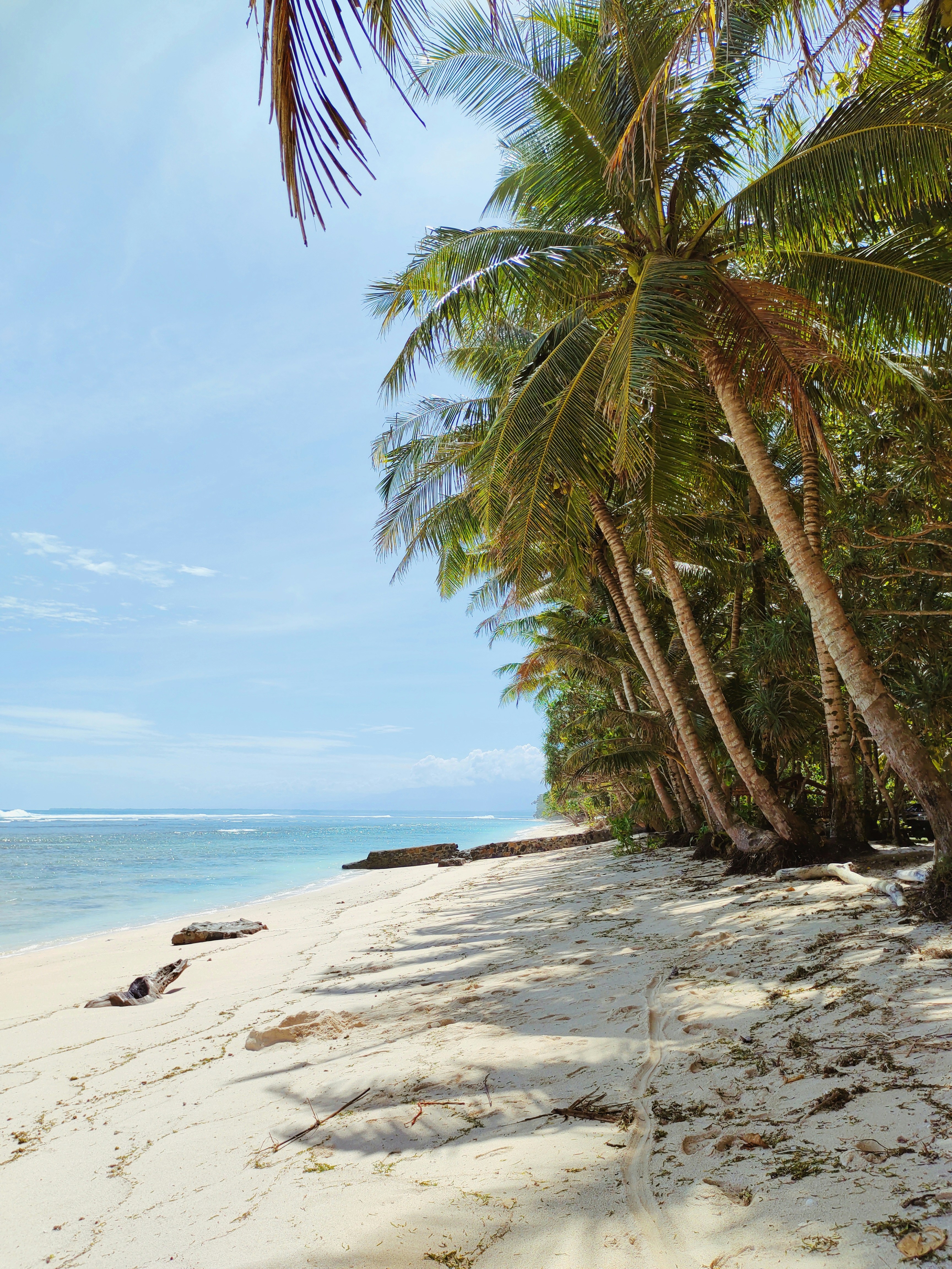 Photo by firdausagung