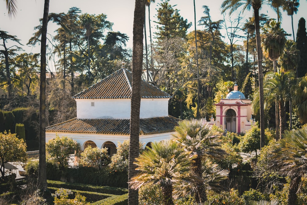 a building with a dome roof surrounded by trees