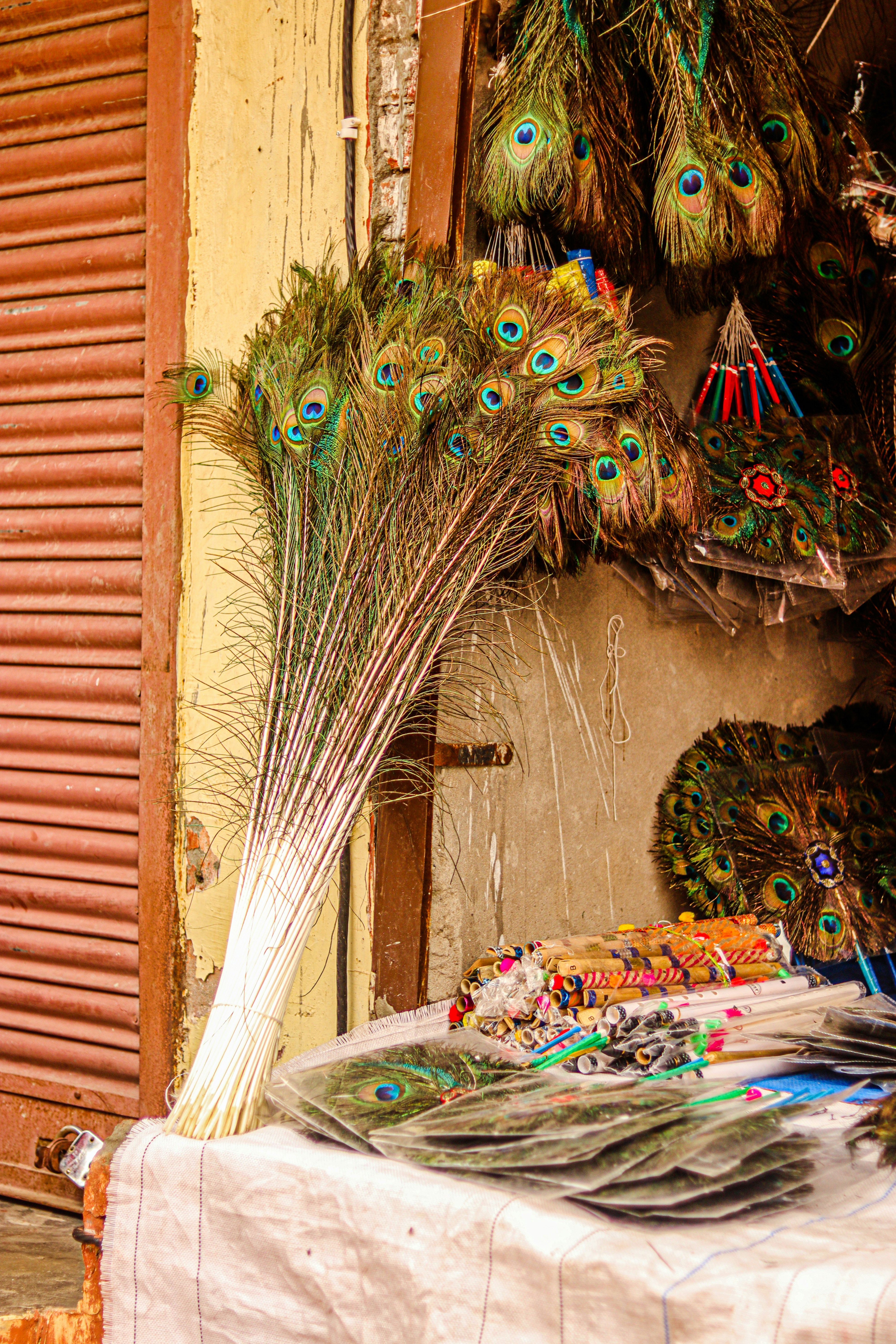 Photo by swastikarora