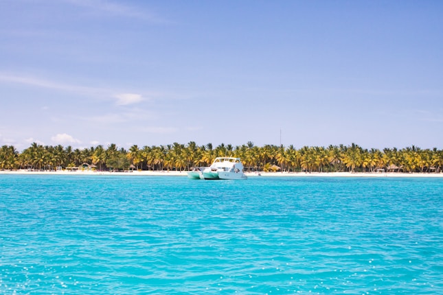 A tropical beach scene with clear turquoise water in the foreground and a small white boat floating on it. In the background, a row of lush green palm trees lines the white sandy shore, under a clear blue sky.
