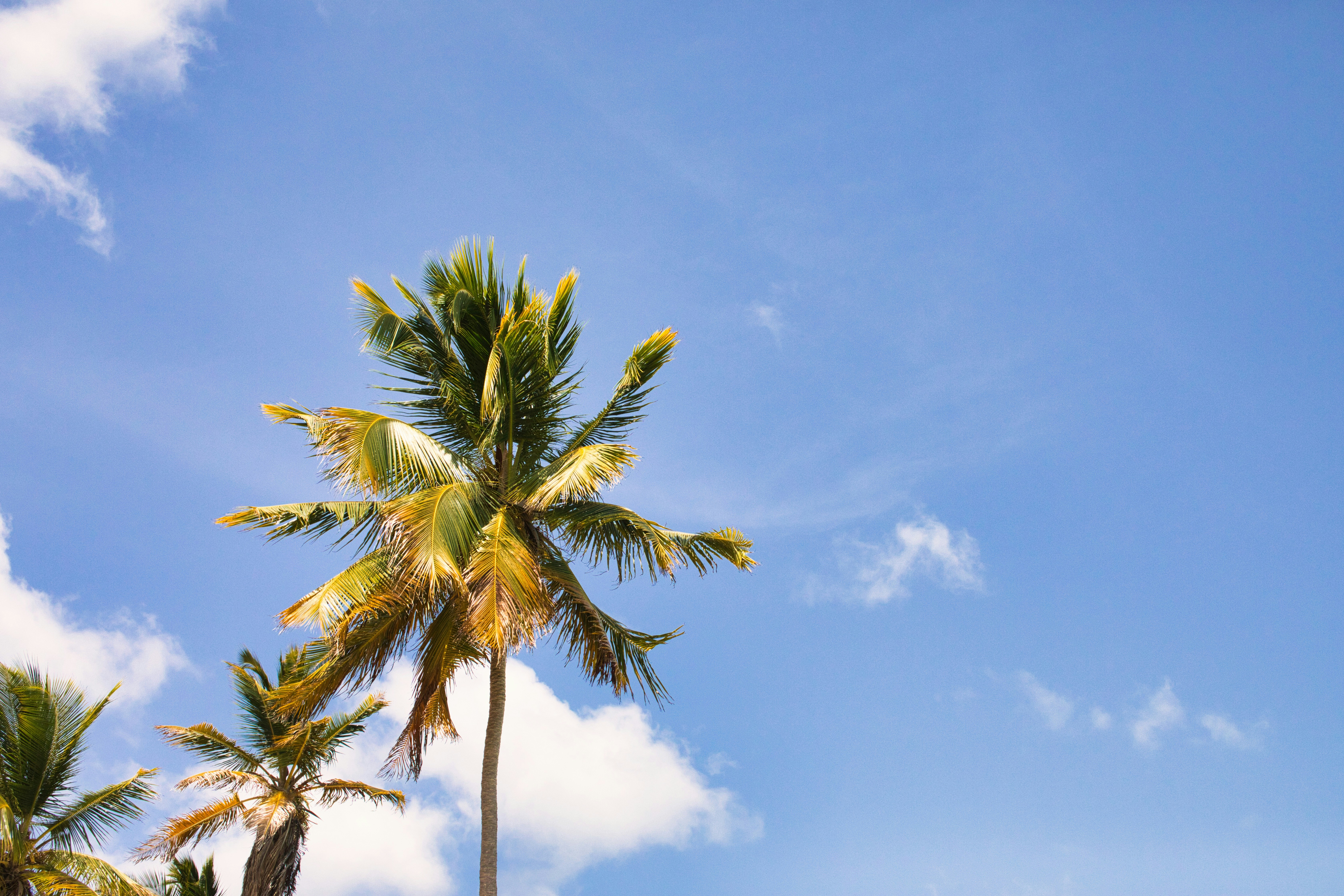 Photo by marcfanelliisla