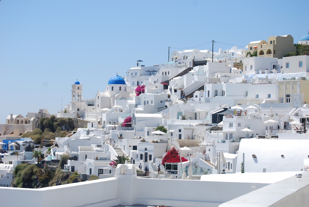 a large white building with many windows