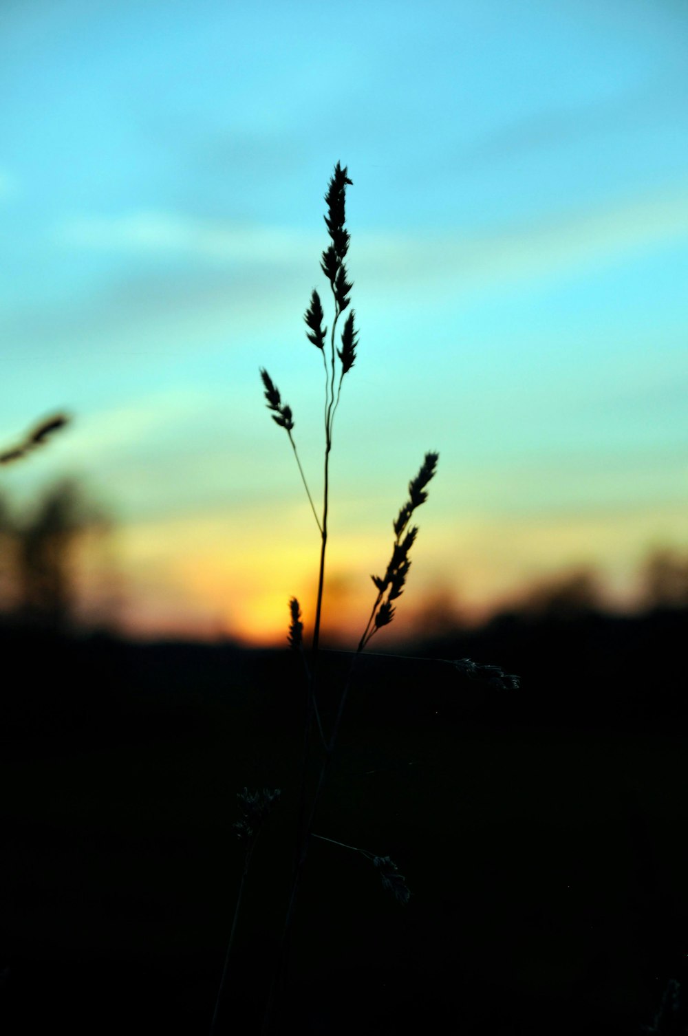 a person standing on a plant