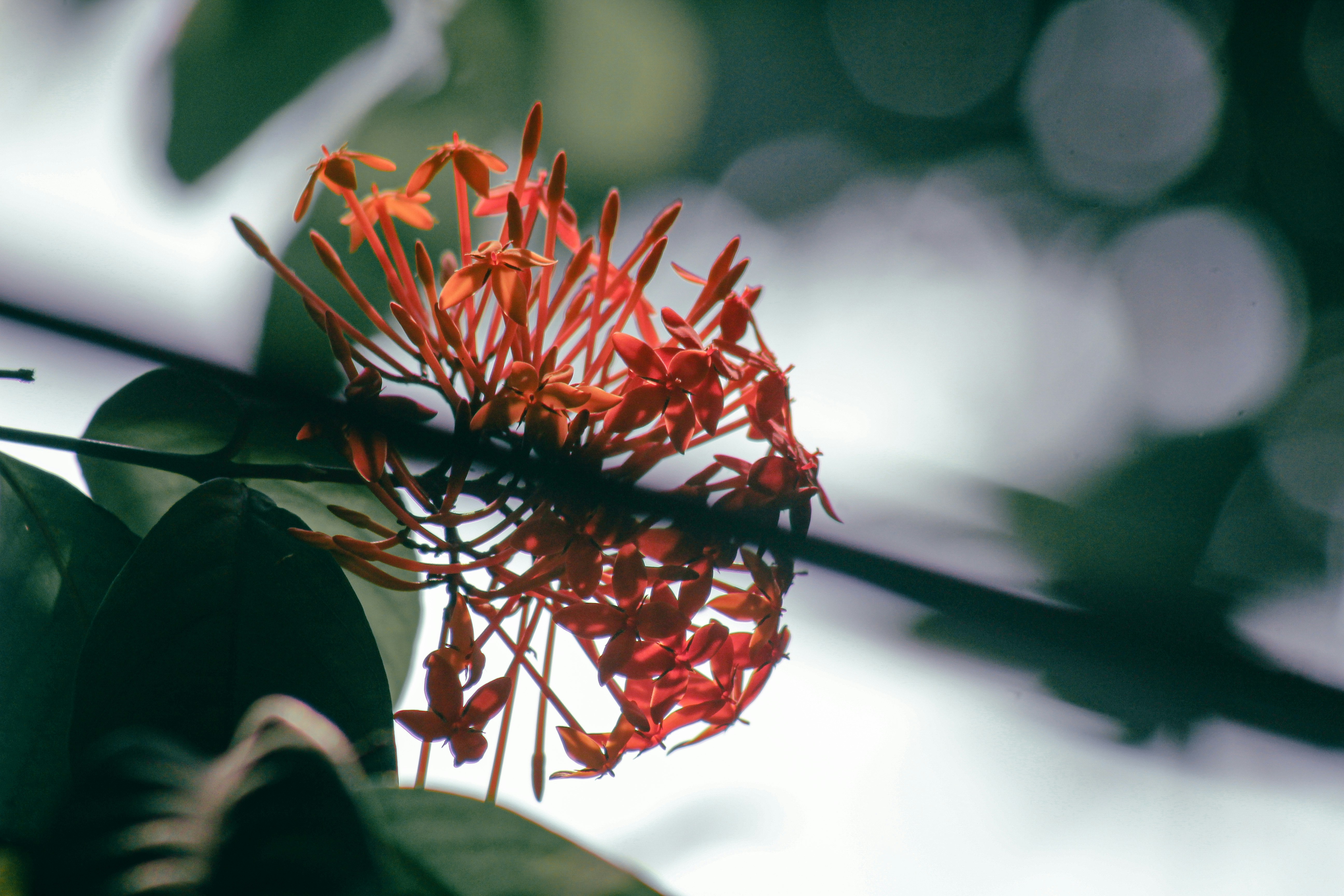 Photo by maha_mud_ul