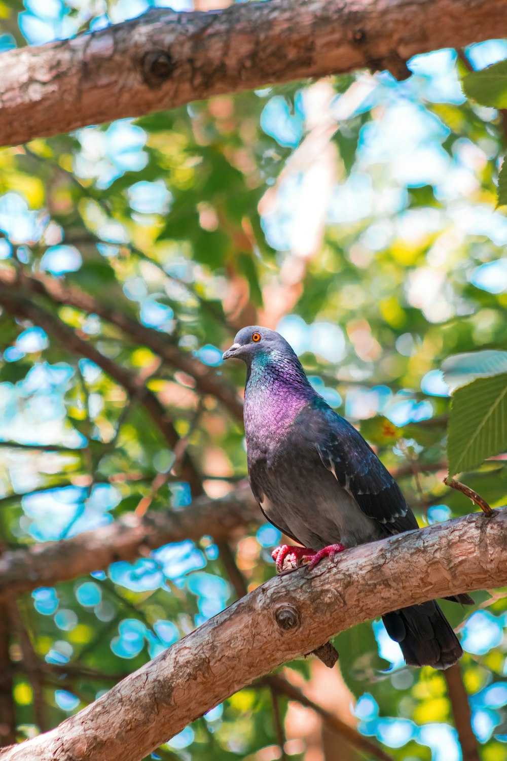 a bird sitting on a branch