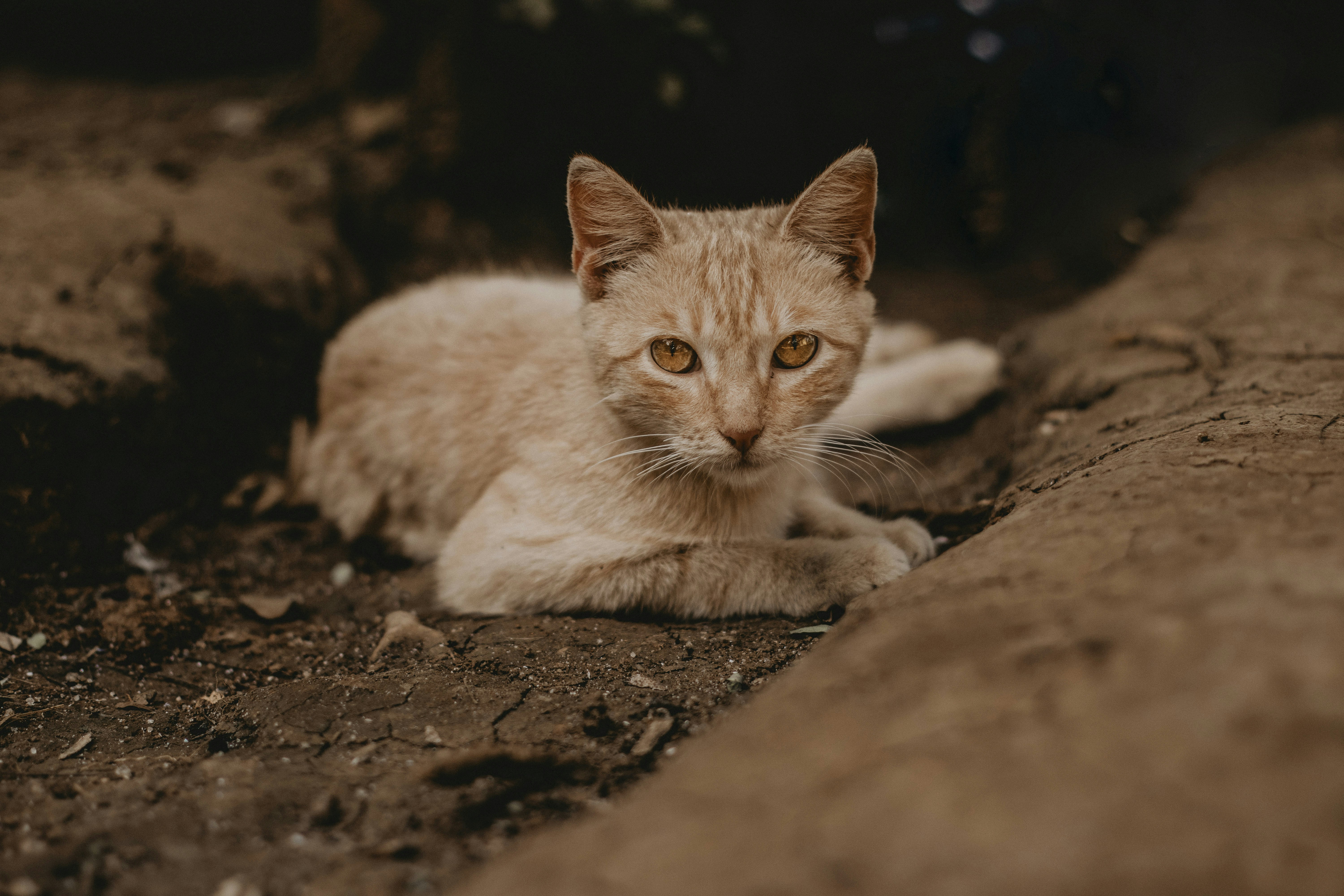 Photo by rodolfoquiros