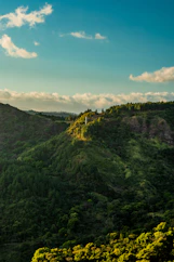 a landscape with trees and hills