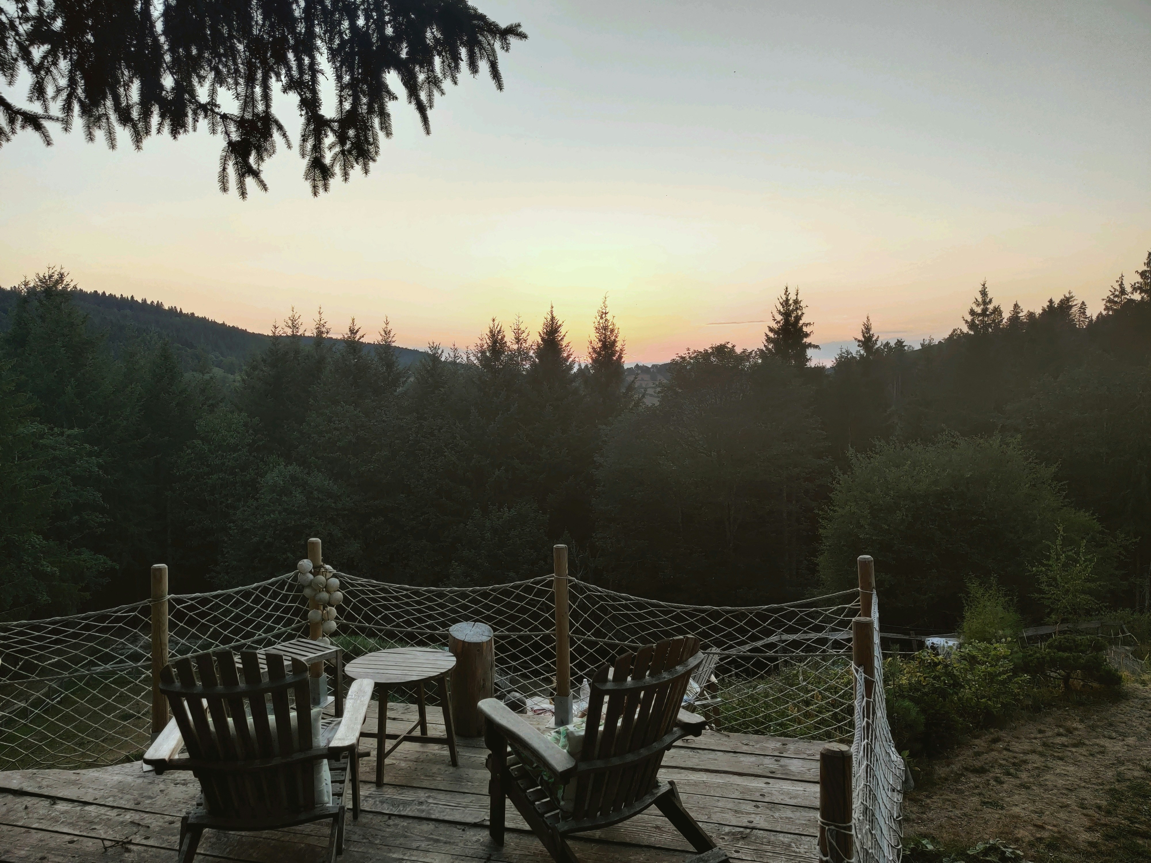 Cabin outdoor deck with Adirondack chairs overlooking forest, clean maintained outdoor area, warm afternoon light