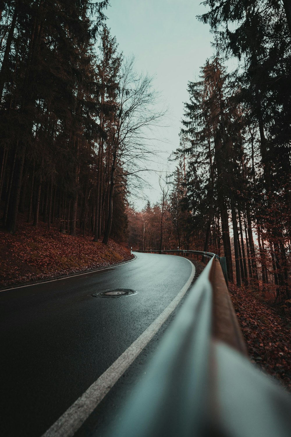 a road with trees on the side