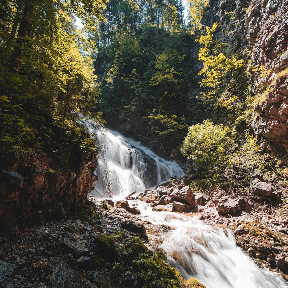 a waterfall in a forest