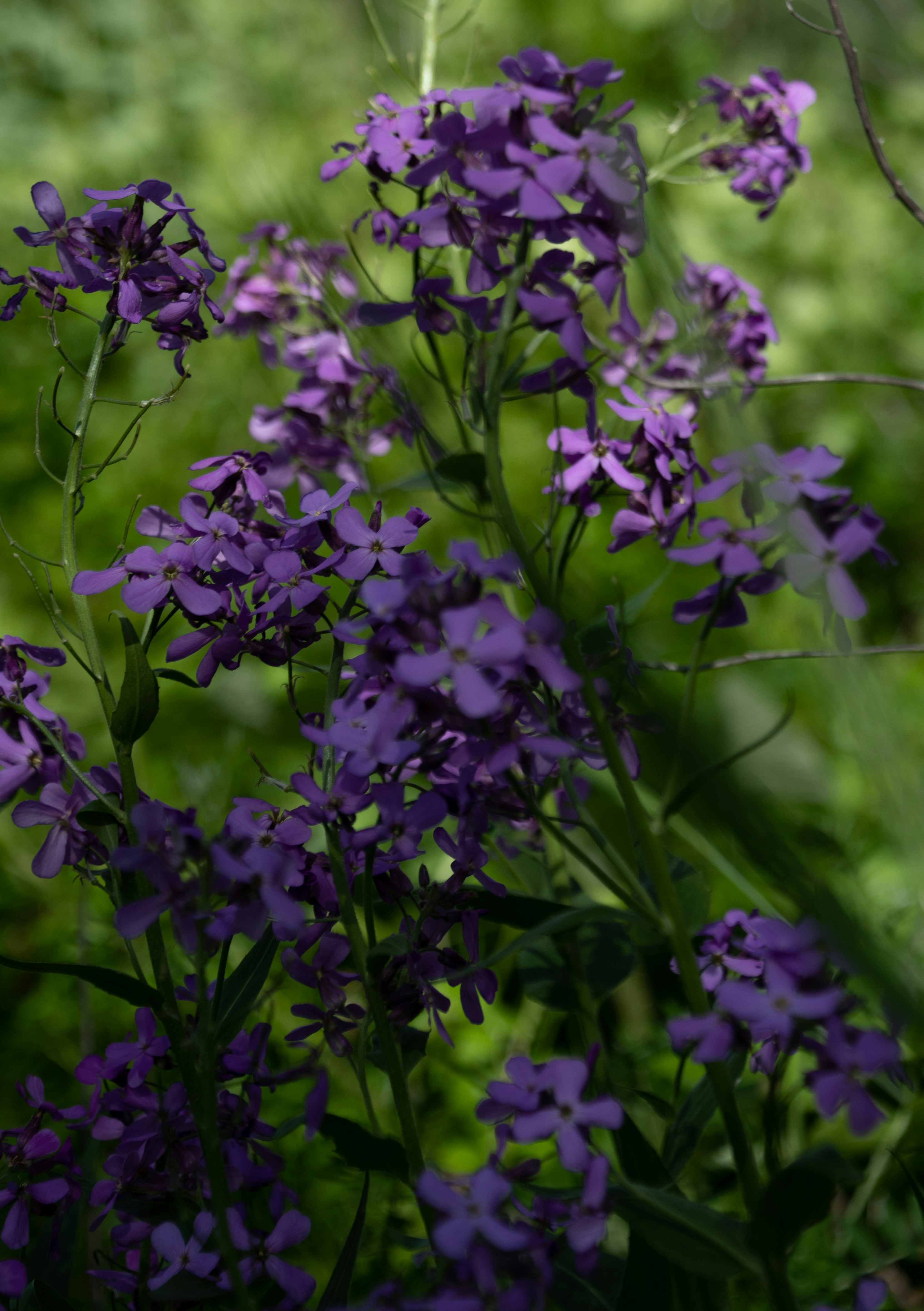 Photo by andrewgazula