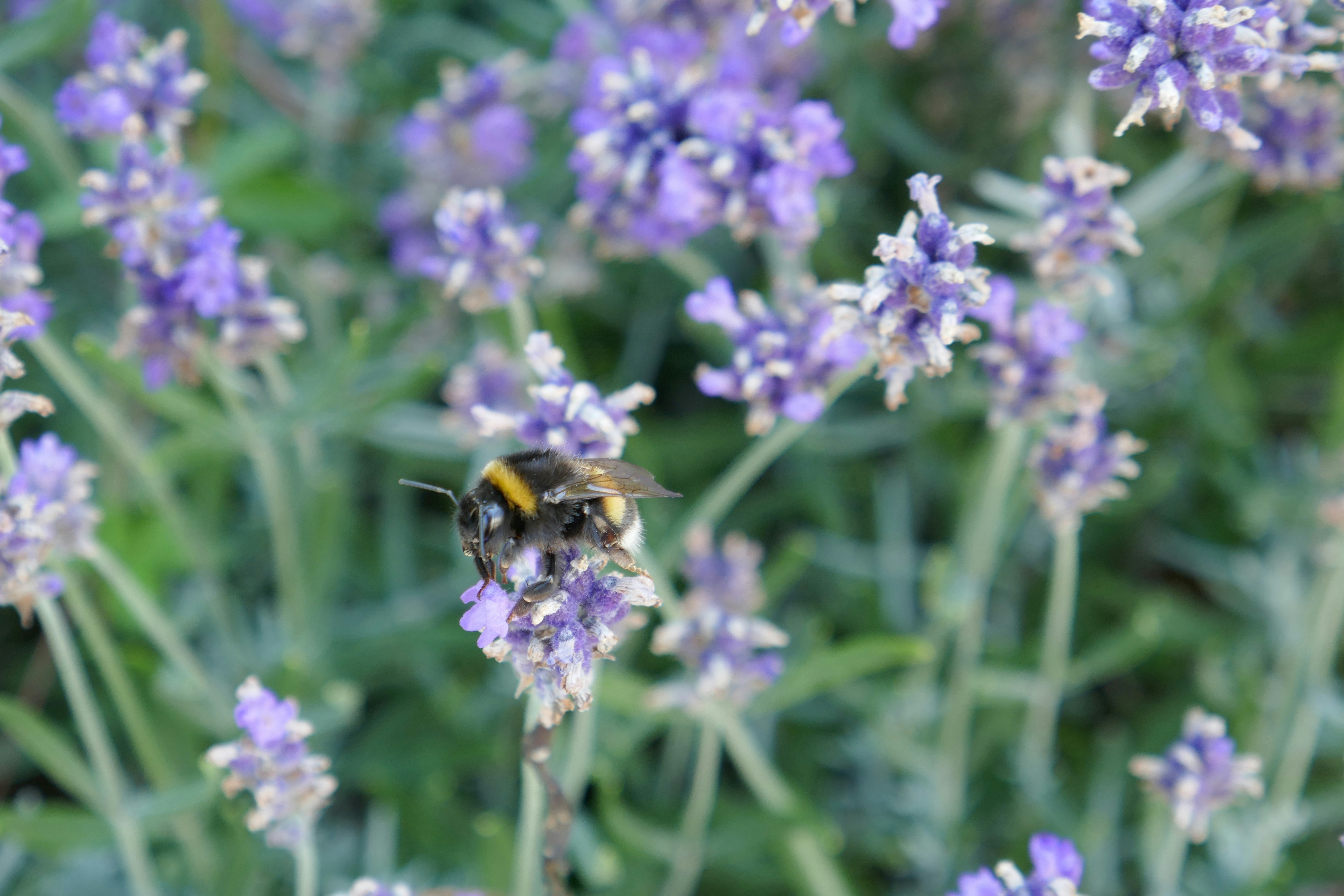 Photo by monikamanenti