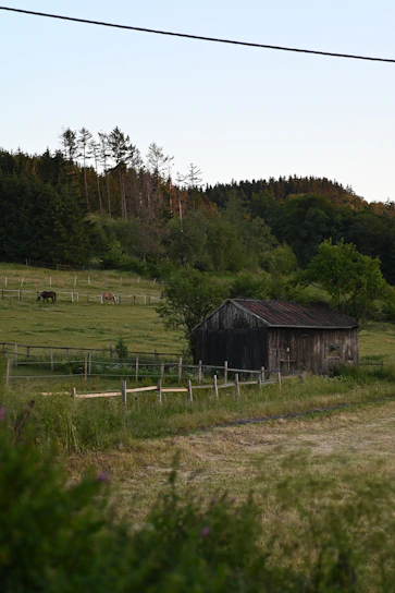 A sunlit barn with horses grazing nearby and fresh vegetables growing in raised beds.
