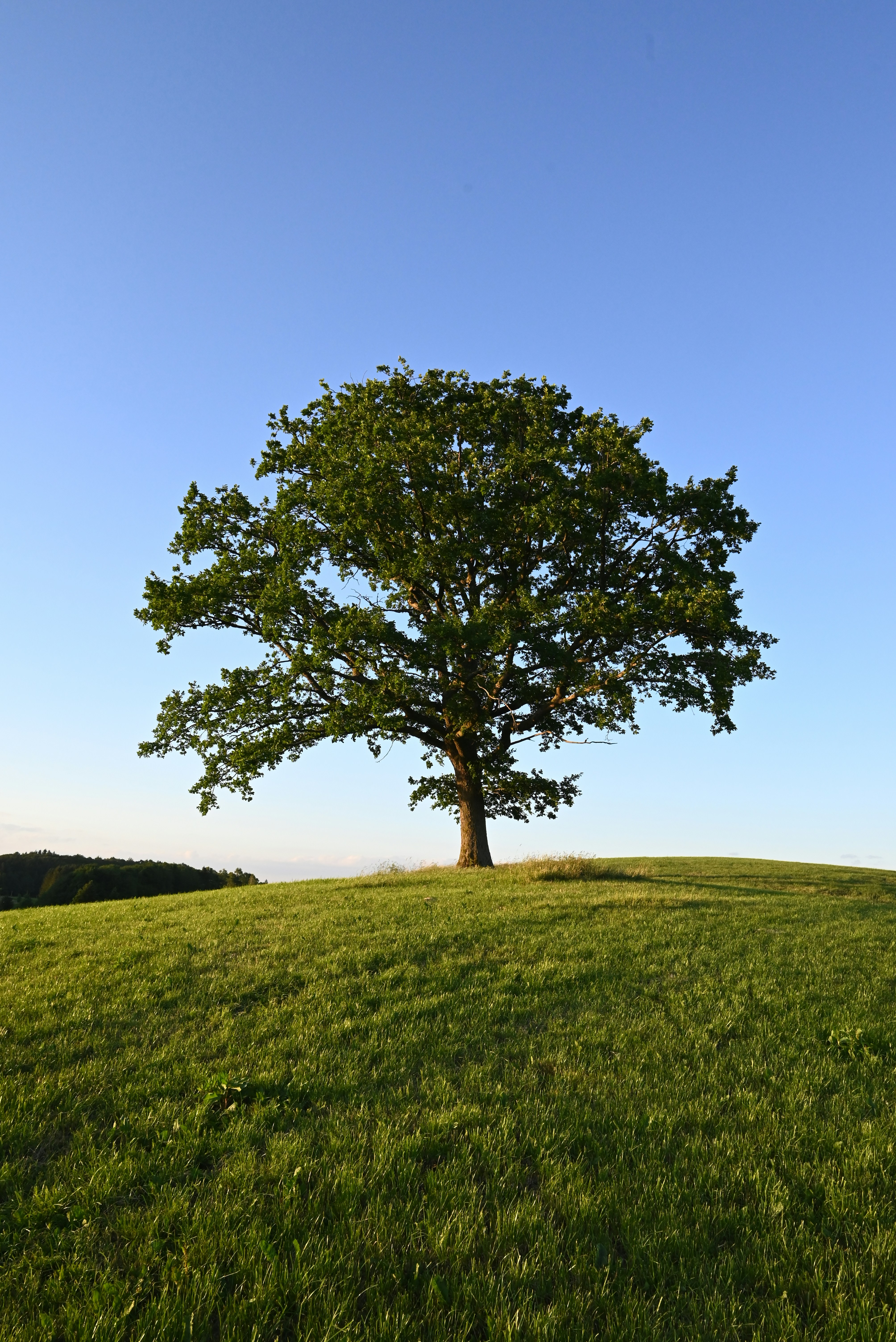 Photo by mortezakhalili