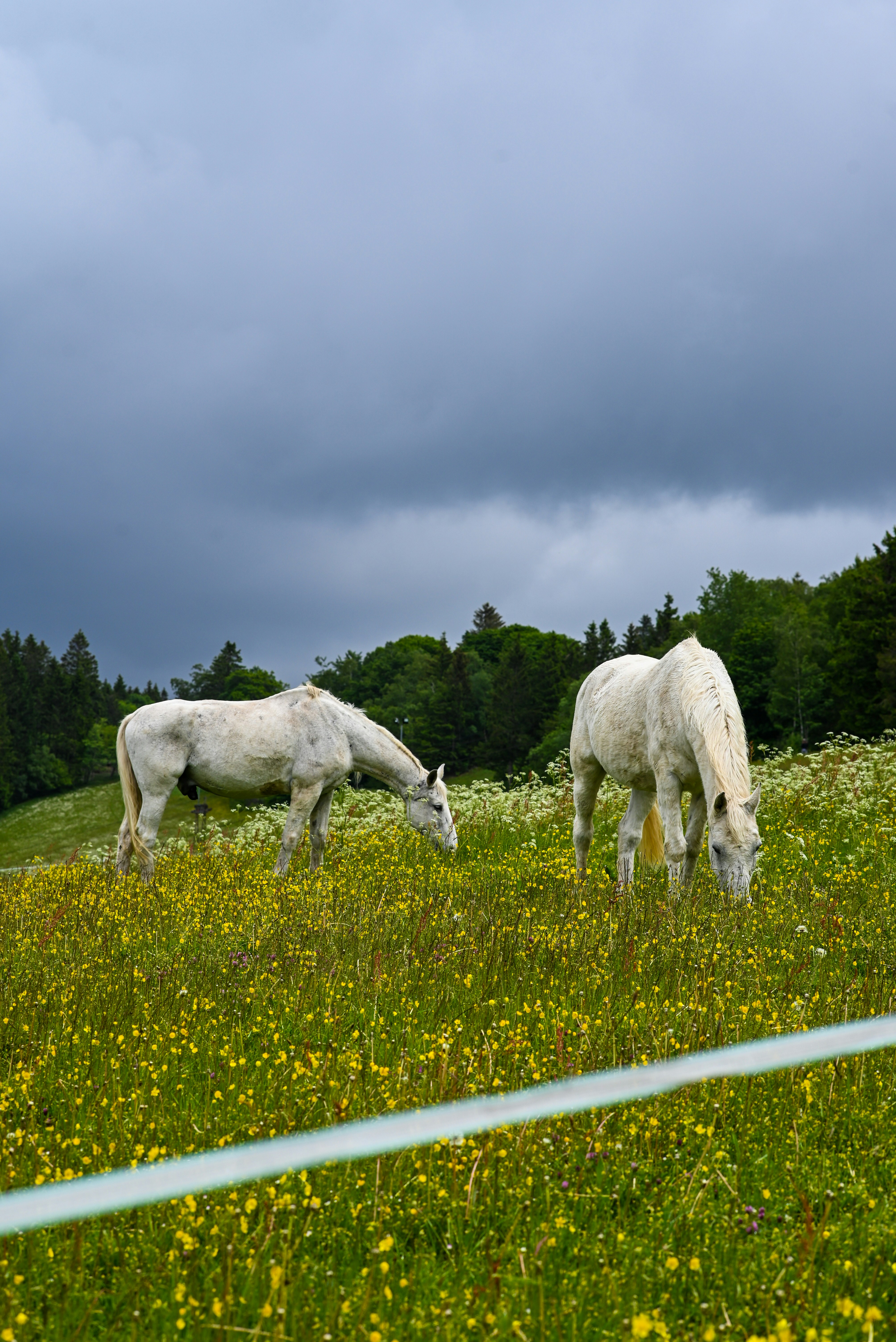 Photo by mortezakhalili