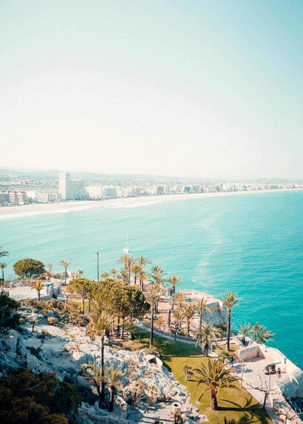 a beach with trees and buildings by it