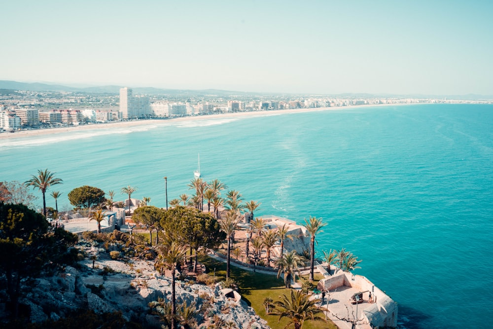 a beach with trees and buildings by the water