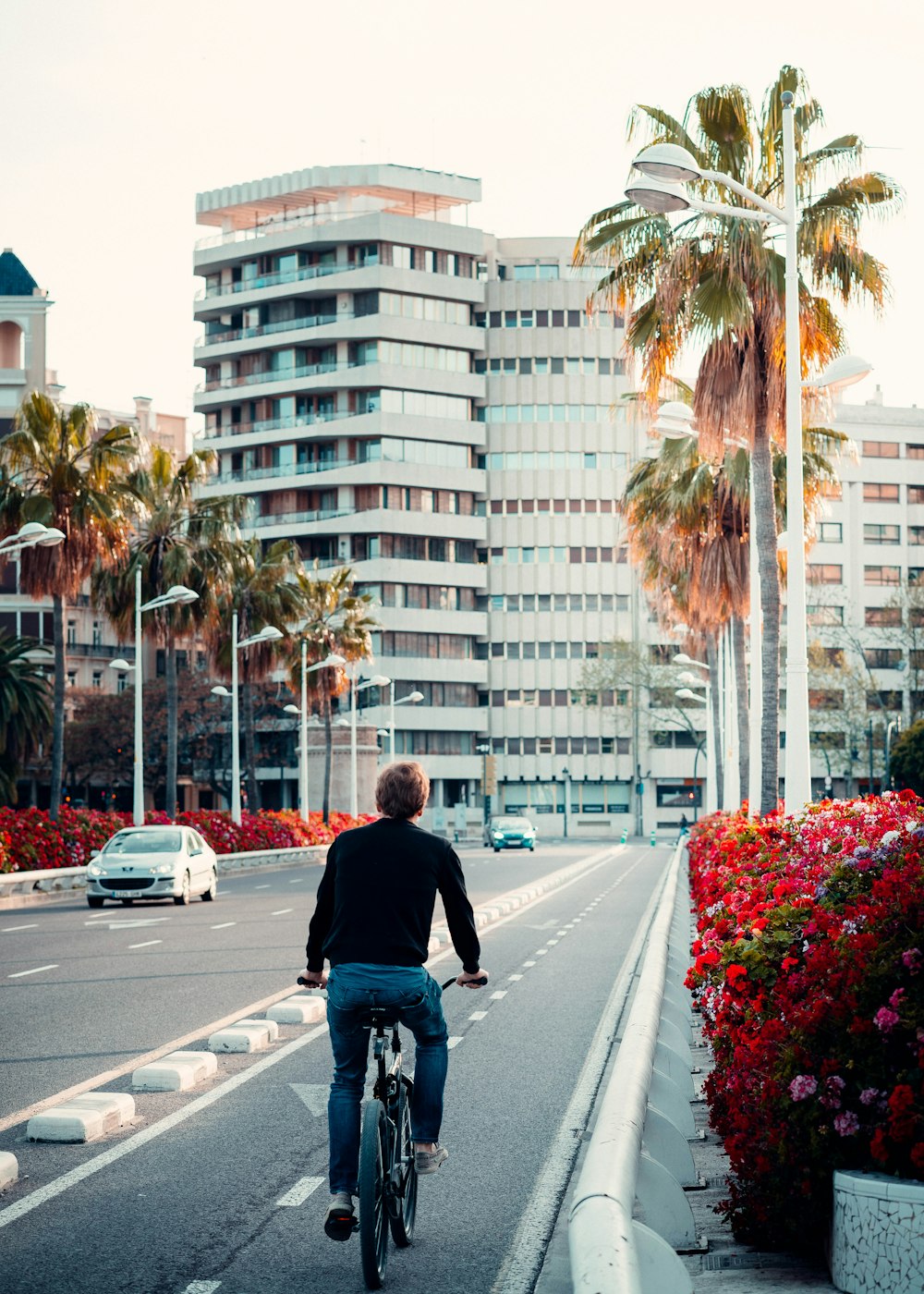 a person riding a bicycle on a street with palm trees and buildings in the background