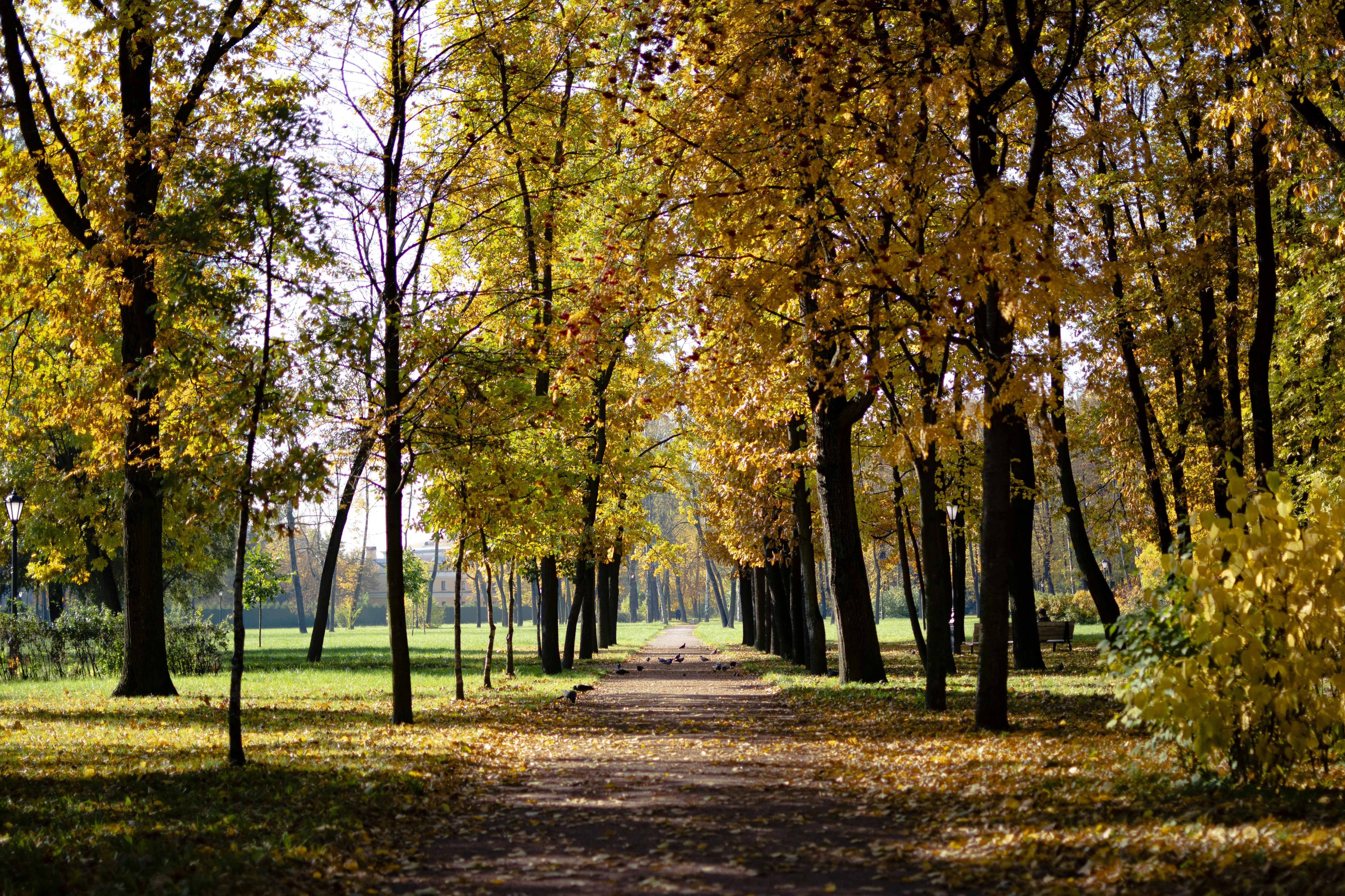 Photo by vadutskevich