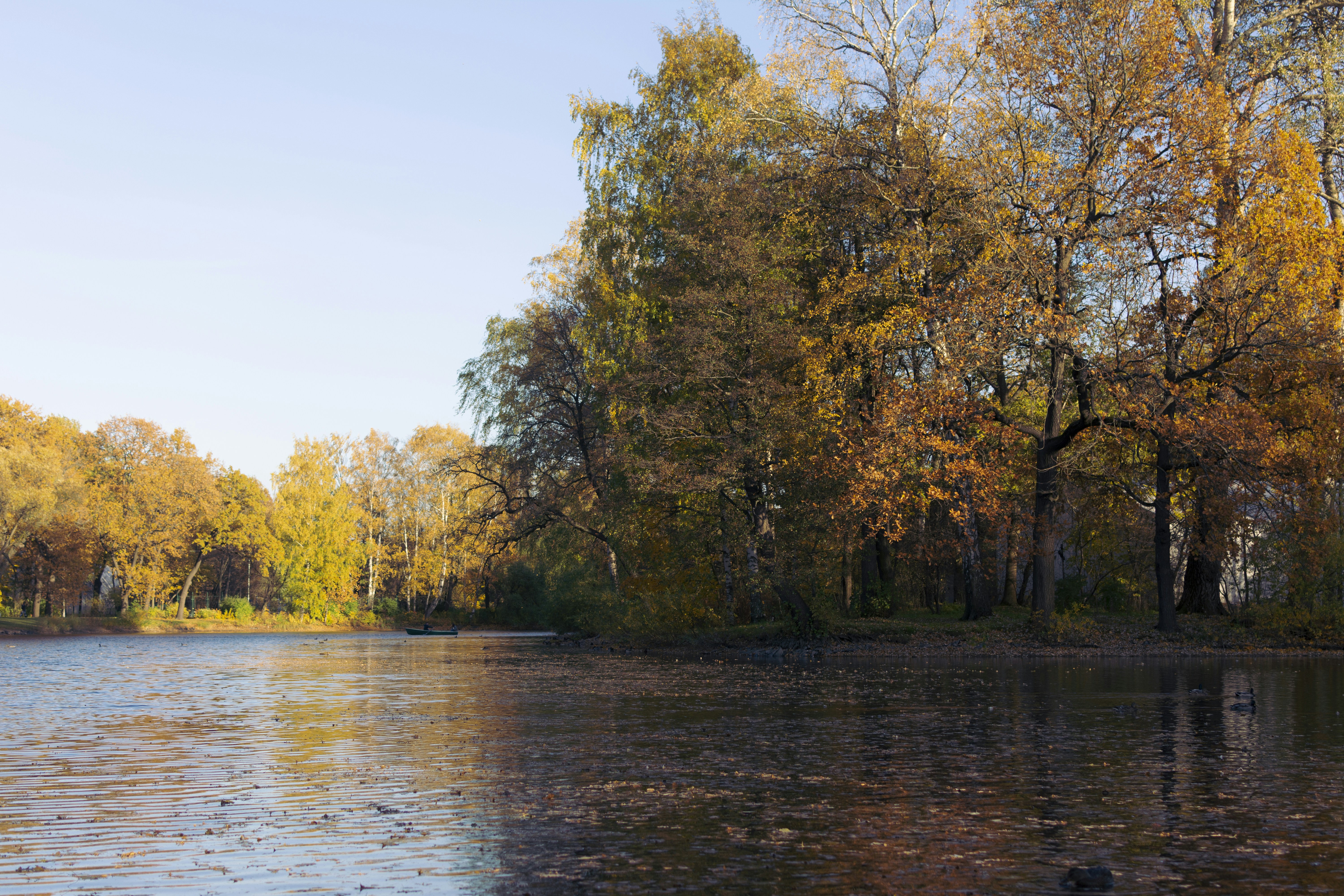 Photo by vadutskevich