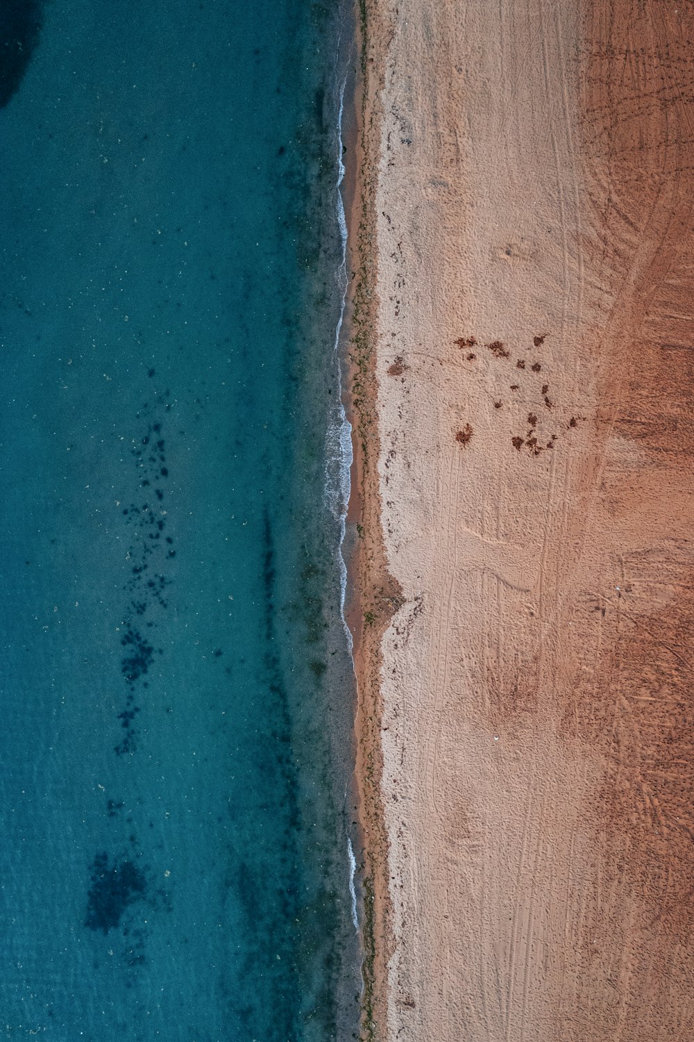 a close up of a beach